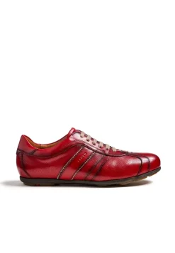 BAREA