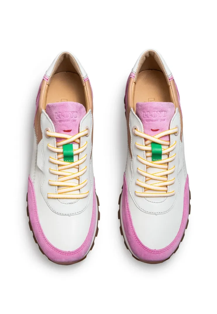 SNEAKER