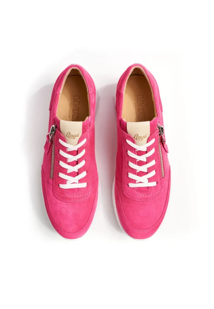 SNEAKER