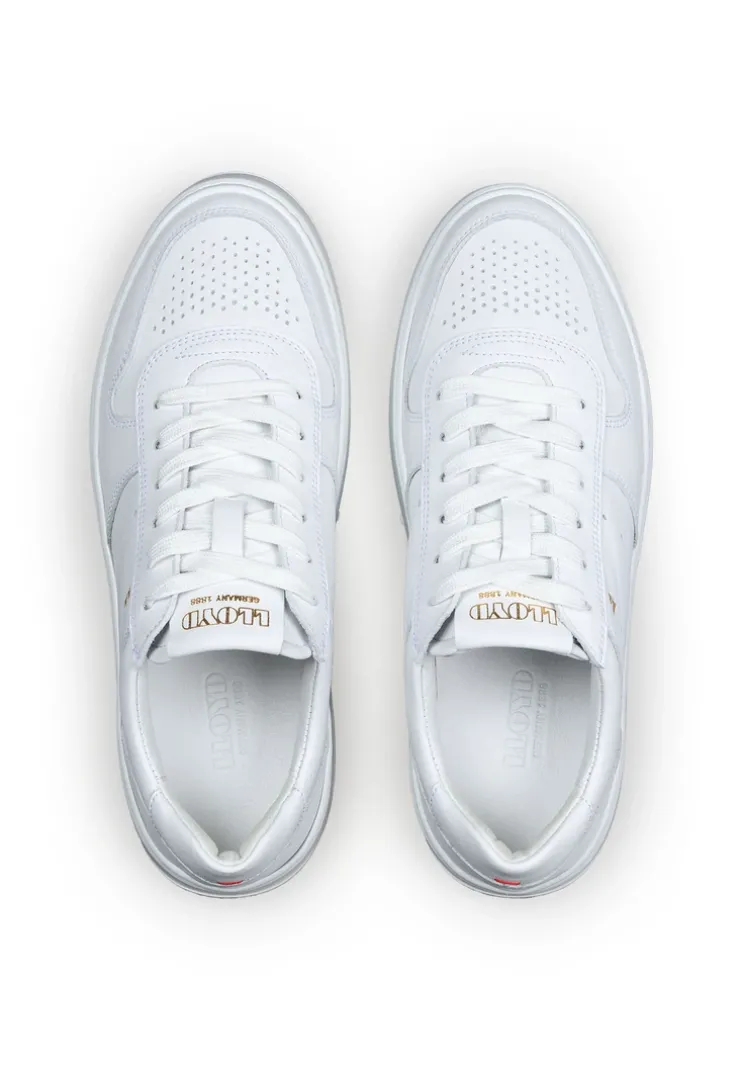 SNEAKER