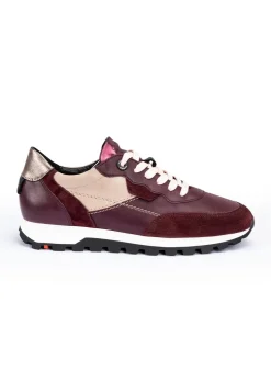 SNEAKER