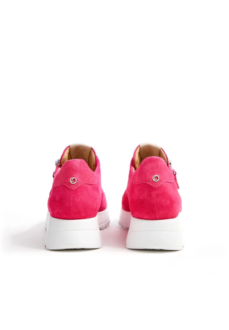 SNEAKER